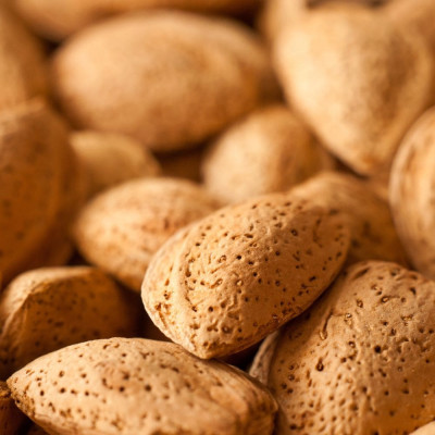 Khairadini Badam (Almond In Shell)